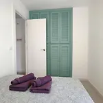 Palmera
